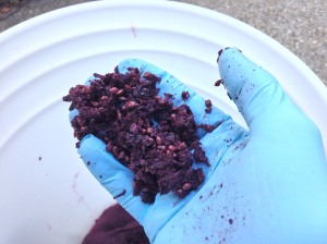 These are what's left of the crushed grapes (from the crushed grape pack) after primary fermentation.